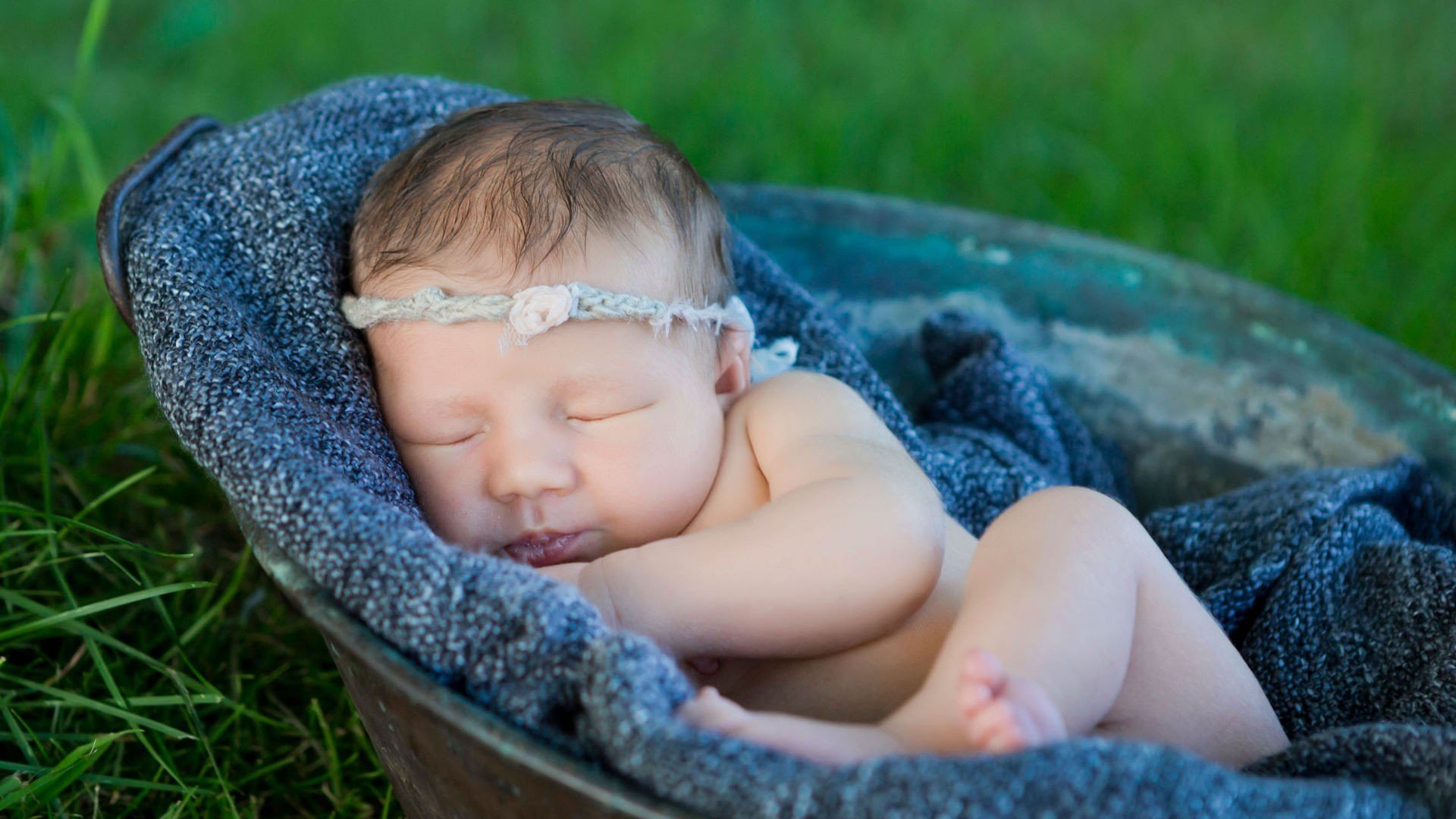 捐卵代怀人工授精和试管婴儿成功率